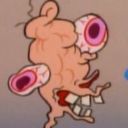 kotek's profile picture