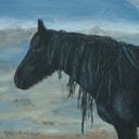 artbyhollyngrace's profile picture