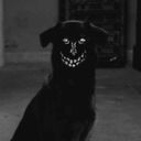 nachttour's profile picture