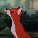 temmiedatemm's profile picture