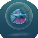 polycraftual's profile picture