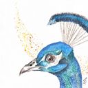 lealidielisa's profile picture