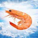 shadyoffline's profile picture