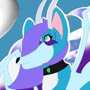 spellls's profile picture