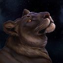 midnightember's profile picture