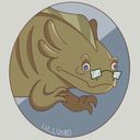 lu_lizurd's profile picture