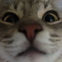 llithh's profile picture