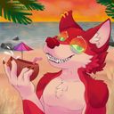 cassarts's profile picture