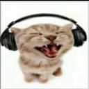 sillydog's profile picture