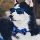 nonthecheam's profile picture
