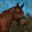 artsycreate's profile picture