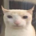 zukenii's profile picture