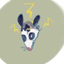 becklanglois's profile picture