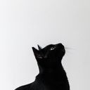 kj16_art's profile picture