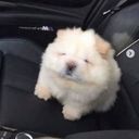 krispbread's profile picture