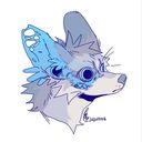raindropfox's profile picture