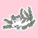 judeamjournal's profile picture