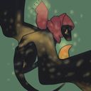 squareminati's profile picture