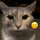 NelaLincesa's profile picture