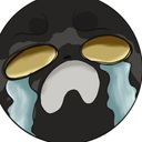 littlecrowcrying's profile picture