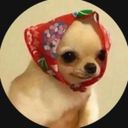 velimuxe's profile picture