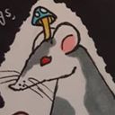 mossrat's profile picture
