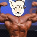 squarrel