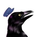 stemy's profile picture