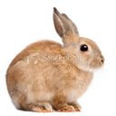 elizascrub's profile picture
