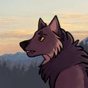 strayspore's profile picture