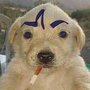 unagi's profile picture