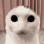 wwwww's profile picture