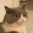 kaiimoo's profile picture