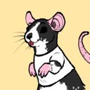 firufly's profile picture