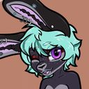 licibun's profile picture
