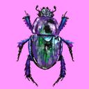 bugbrain's profile picture