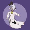 guttedpuppy's profile picture