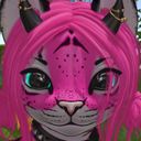 tigsykai's profile picture