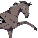 swanred's profile picture