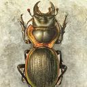 claudiahahn's profile picture
