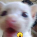 art_zee1's profile picture