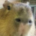 jovial's profile picture