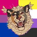 spellfox's profile picture