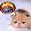 teeku's profile picture