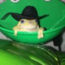 parsley_haven's profile picture