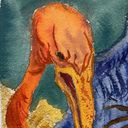 lag_draws's profile picture
