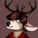 alexis_deer21's profile picture