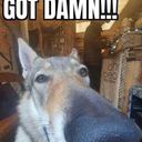 batonx3n's profile picture