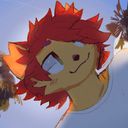 rhiz's profile picture