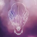 gallantnight's profile picture